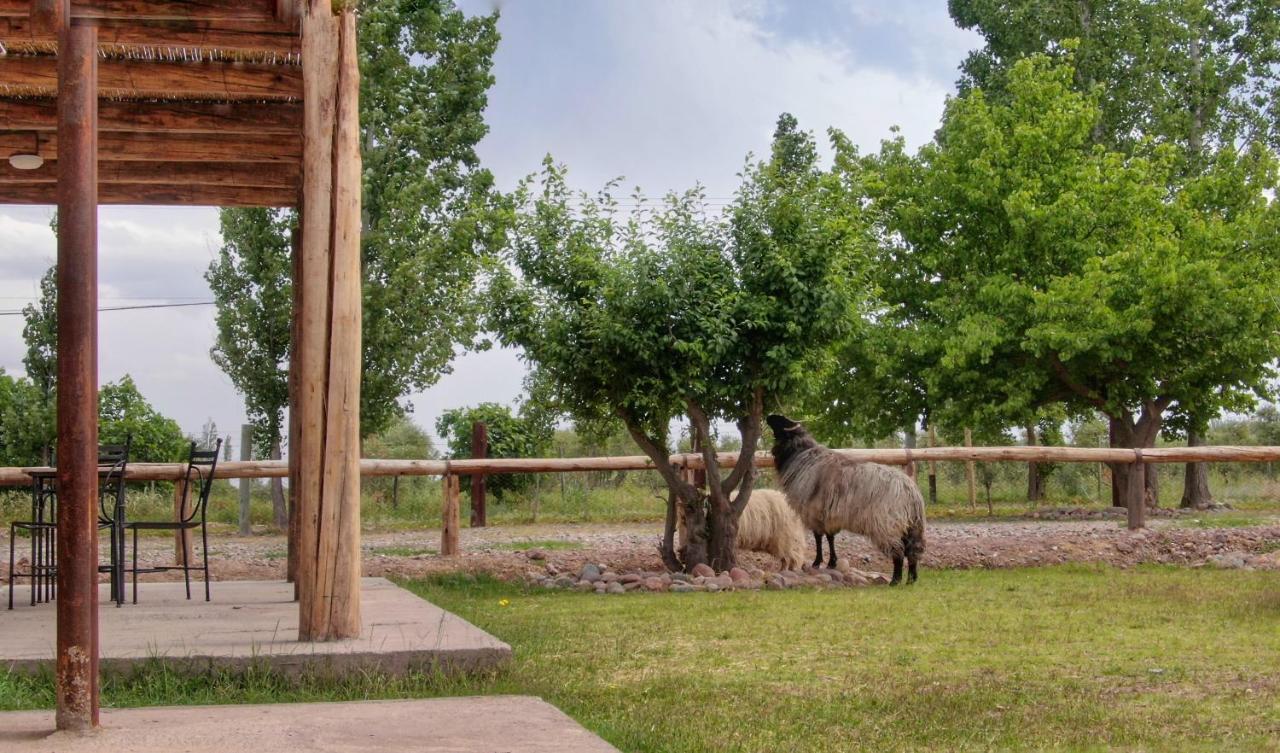 Complejo Turistico Chachingo Villa Maipu  Luaran gambar
